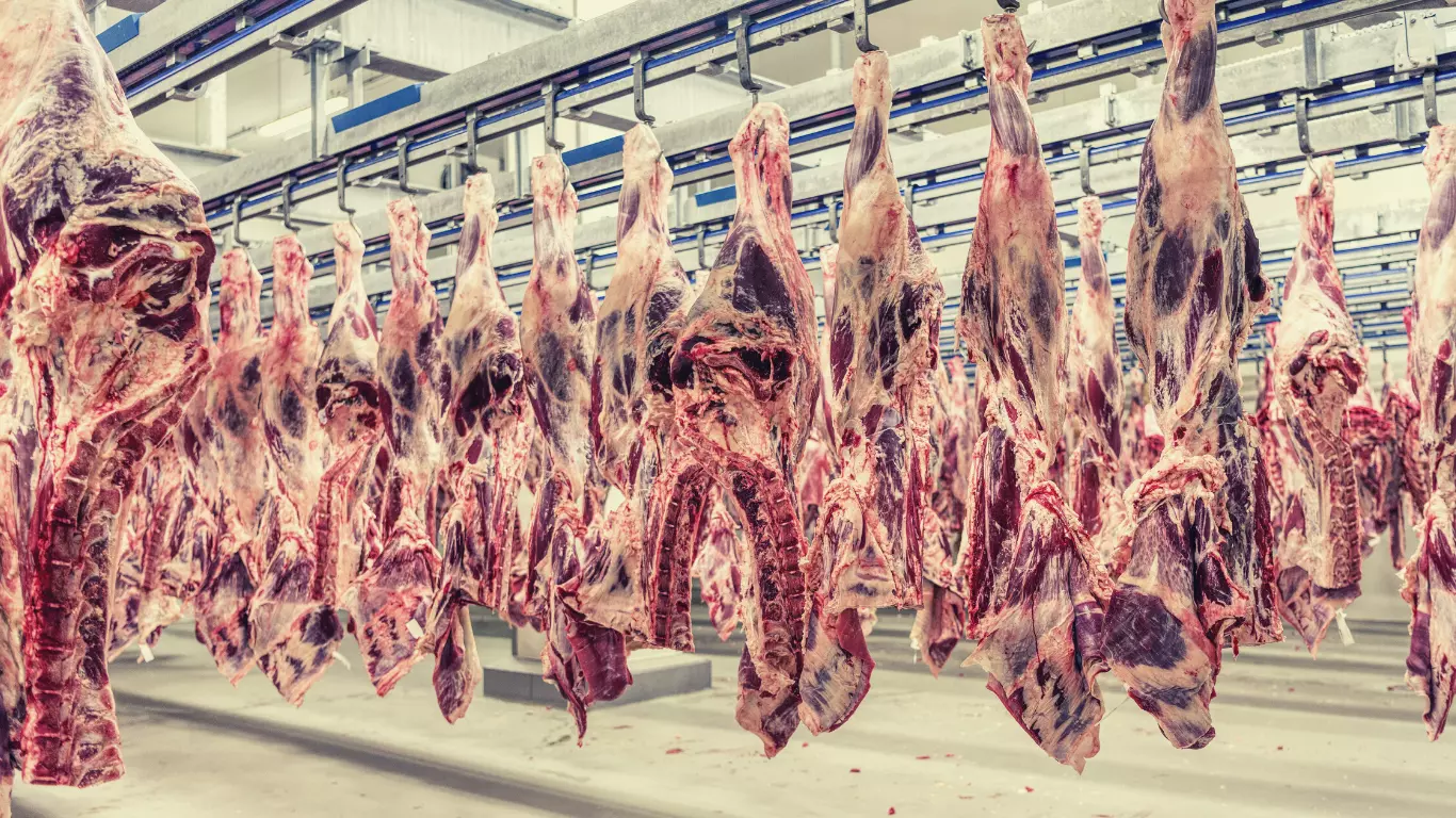 Procesamiento y comercialización de carne